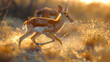 An antelope sprinting through the African savannah, dust kicking up behind it as it flees from unseen danger
