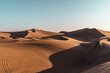 sand dunes in the desert at sunset