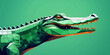 Alligator animal abstract illustration