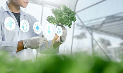 research, science, innovation, quality, health, renewable, sustainable, genetic, biology, environmental. A researcher is holding a plant in a greenhouse. and surrounded by a environment of icons.