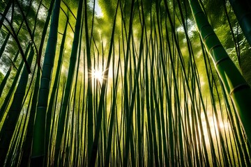 Canvas Print - bamboo forest background