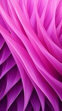 Pink And Purple Flower Petals With A Gradient.
