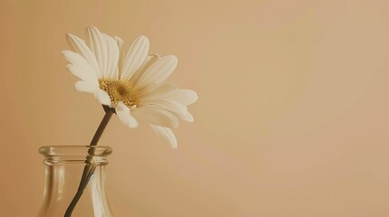 Wall Mural - A single white flower in a clear vase against a neutral background, conveying simplicity and elegance