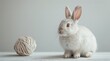 White Rabbit Sitting Next to Ball of Yarn