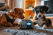Show a robotic AI companion interacting with a domesticated pet in a home environmentcommercial use