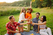 © maxbelchenko - Group of young people having fun while drinking beer at picnic party. Friends enjoy sunny day. Vacation, weekend, friendship or holliday concept.