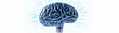 Brain with a light bulb growing out of it, symbol of ideas, white background, top view, schematic style