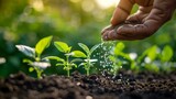 Fototapeta  - hand of a farmer giving fertilizer to young green plants nurturing baby plant with chemical fertilizer on green bokeh background