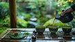 Japanese tea ceremony: A traditional tea ceremony unfolds with elegance and grace, as matcha tea is prepared and served with reverence.