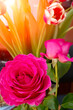 Beautiful bouquet of pink roses and tulips. Vertical photography.