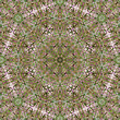 Seamless pattern for textile design. endless pattern for tiles, fabric, print.