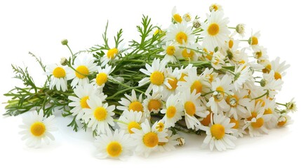 Wall Mural - Close up of mix of white and yellow blooms