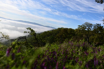 Sticker - clouds over the mountains