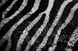 Close-up of black and white zebra stripes with a focus on texture and contrast