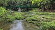 Bridge spanning the Baños del Rio San Juan River Baths, series of natural pools among small cascades, popular for swimming. Las Terrazas-Cuba-141