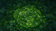 Green natural forest aerial view. Environment concept.
