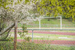 Blühende Bäume vor Sportplatz mit Fußballtor und Tartan-Laufbahnen