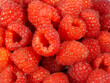 świeże maliny na słońcu, czerwone maliny, aromatyczne, soczyste maliny, fresh raspberries, red raspberries, juicy raspberries, Rubus idaeus	