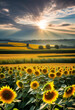 Spectacular field of sunflowers oil painting 