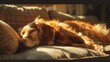 A reflective brown dog relaxes in the sunlight on a comfortable suede sofa creating a tranquil and serene mood with its warm hues