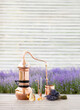 Distillation of lavender essential oil and hydrolate. Copper alambic for the flowering field.