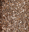 Close up of organic chia seed