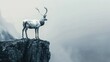 White reindeer on cliff edge in foggy landscape