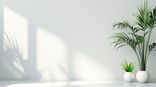 Indoor Plants In White Pots Against Wall With Sunlight Casting Shadows