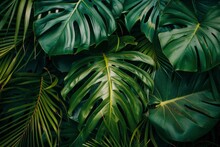 Closeup Nature View Of Green Leaf And Palms Background. Flat Lay, Dark Nature Concept, Tropical Leaf - Generative Ai