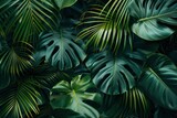 Fototapeta  - closeup nature view of green leaf and palms background. Flat lay, dark nature concept, tropical leaf - generative ai