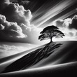 Lonely tree on the snow covered hillside in black and white