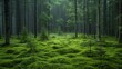Atemberaubende Regenwaldkulisse, dichte Vegetation, leuchtende Farben, AI Generative