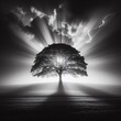 Lonely tree in the field with rays of light coming through. Black and white print art.