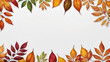 © spyduckz - Autumn Leaf Banner Template on White Background