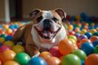 A joyful bulldog revels in an indoor ball pit, embracing his playful mammalian nature as a beloved pet

