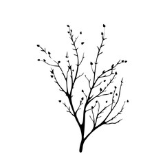 Wall Mural - Bare tree branches