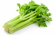 Fresh celery on a white background