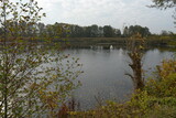 Fototapeta Konie - Polessky Canal in the Kaliningrad region
