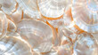 background for banner, background of white mother-of-pearl shells