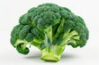 A large head of broccoli with a stem