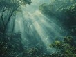 Sun rays shining through the misty forest