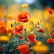Beautifuls Poppies flowers, Red corn flowers blossom Sunny Background, Natural landscape, soft blurred focus, fie details, Illustration.