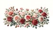 Watercolor illustration of a Roses Floral Border