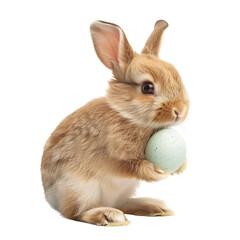 cute easter bunny on isolated transparent background