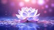 © Hassan - Glowing lotus wallpaper