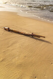 Fototapeta Tęcza - konar na brzegu morza, plaża