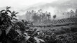 A mesmerizing black and white nature photo captures the serene beauty of Vietnam's Dalat region, with a backdrop of blurred coffee plantations. The monochromatic palette adds a timeless allure 