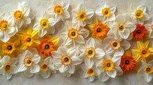   A Tight Shot Of A Floral Arrangement Against A Wall White And Yellow Blooms Occupy The Picture's Center