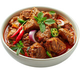 Fototapeta  - Malaysian rendang curry