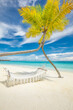 Tropical tourism beach background as summer landscape. Leisure swing or hammock and white sand and calm sea coast. Perfect beachfront scene vacation and summer holiday. Sunny carefree inspire island
